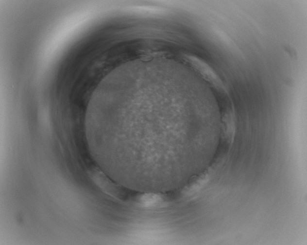 X0000115600762200911241555