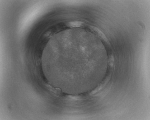 X0000115600763200911241555