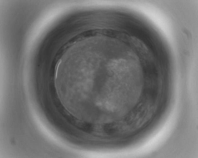 X0000115600766200911241555