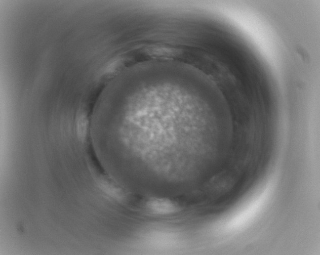 X0000115600767200911241555