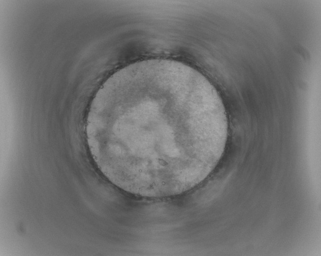 X0000115600769200911241554