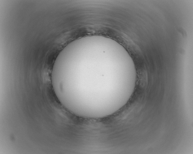 X0000115600770200911241554