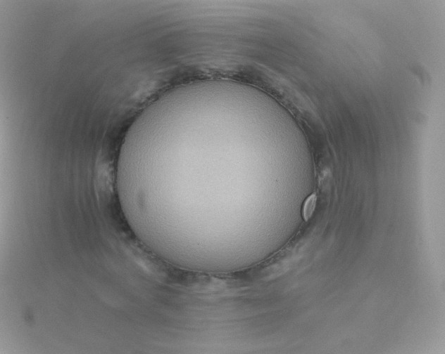 X0000115600772200911241554