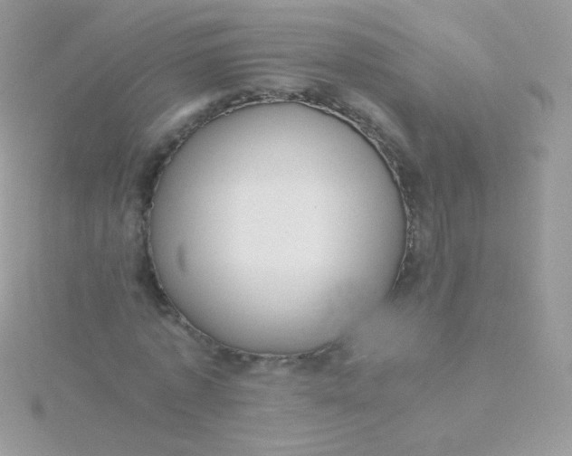 X0000115600773200911241554