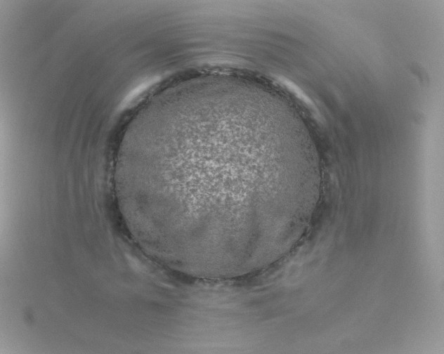 X0000115600775200911241554