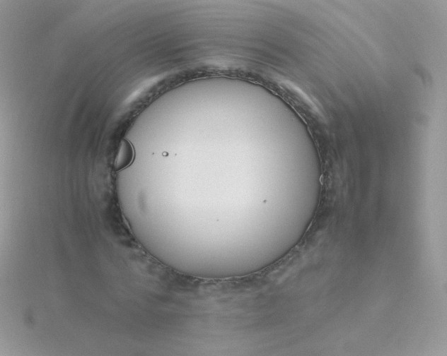 X0000115600776200911241554