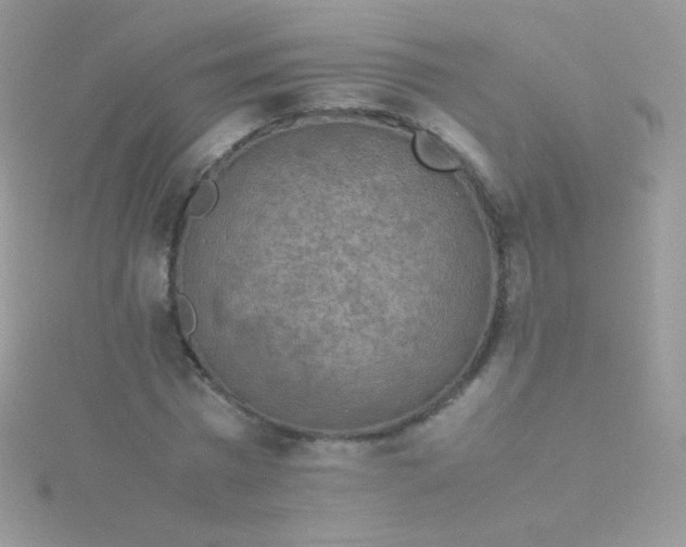 X0000115600777200911241554