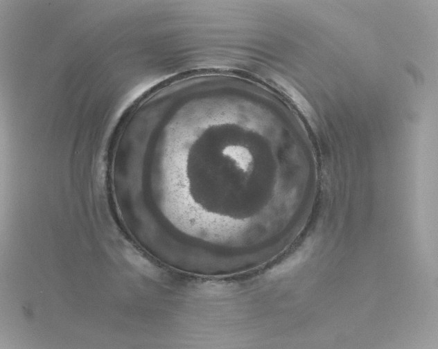 X0000115600779200911241554