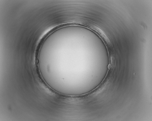 X0000115600780200911241554