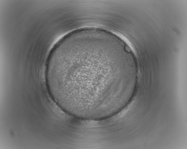 X0000115600783200911241554