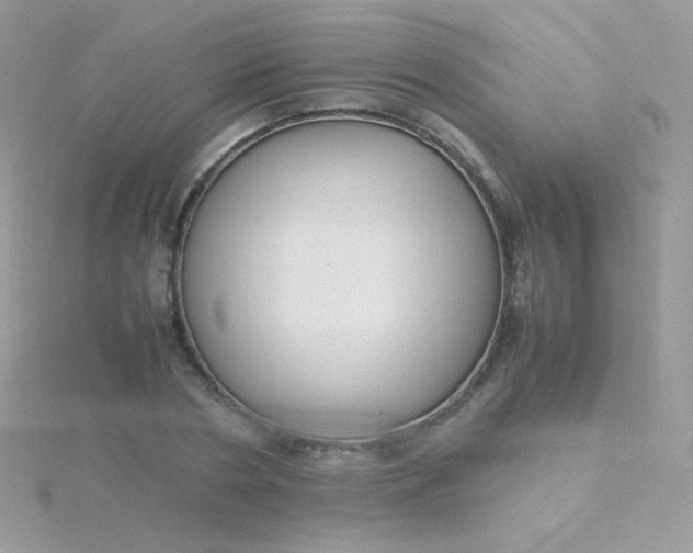 X0000115600786200911241554