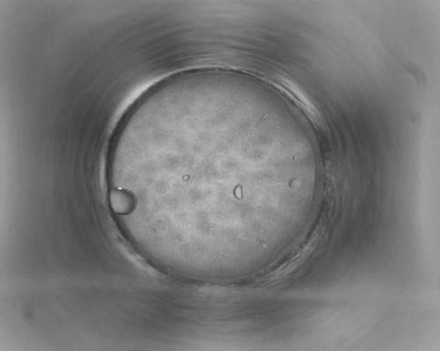 X0000115600788200911241554