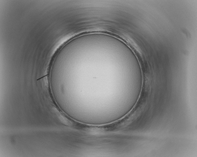 X0000115600789200911241554