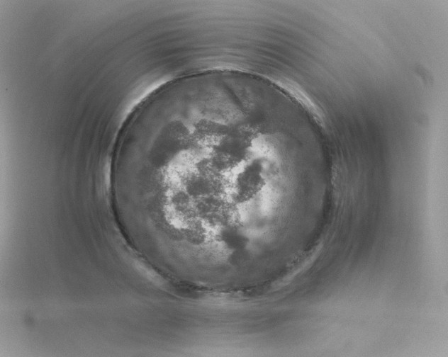 X0000115600790200911241554