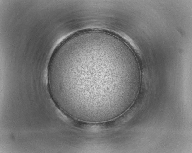 X0000115600791200911241554