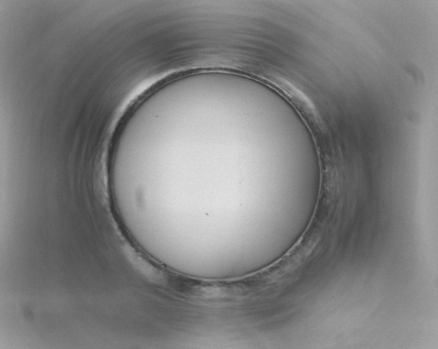 X0000115600792200911241554