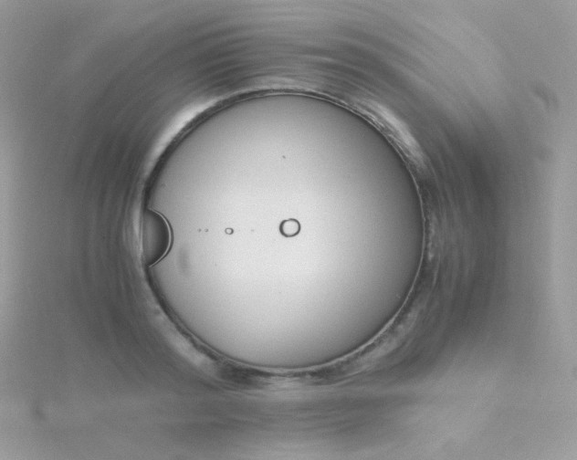 X0000115600796200911241554