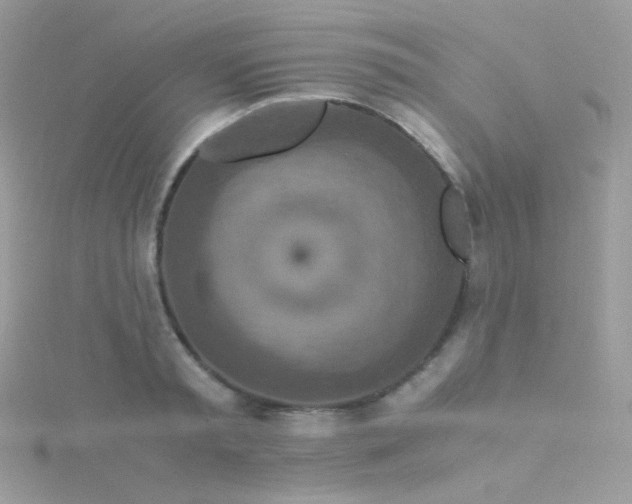 X0000115600797200911241554