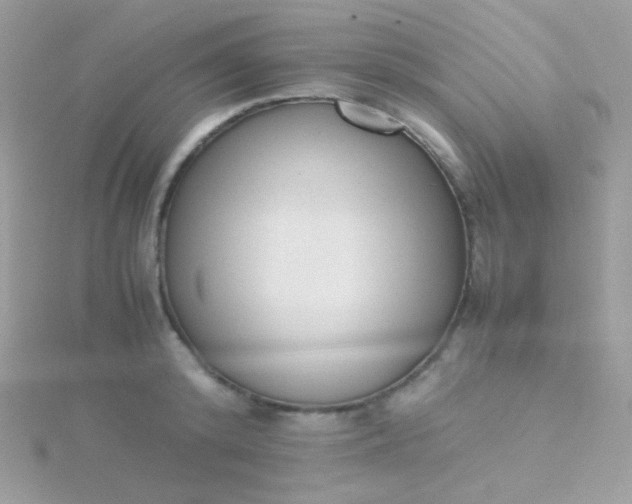 X0000115600800200911241554