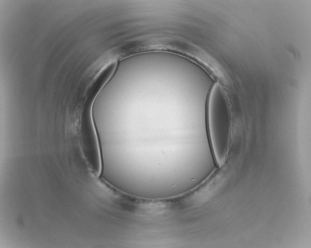 X0000115600801200911241554