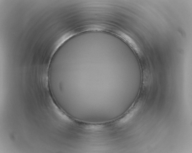 X0000115600802200911241554