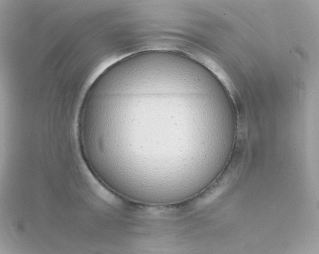 X0000115600803200911241554