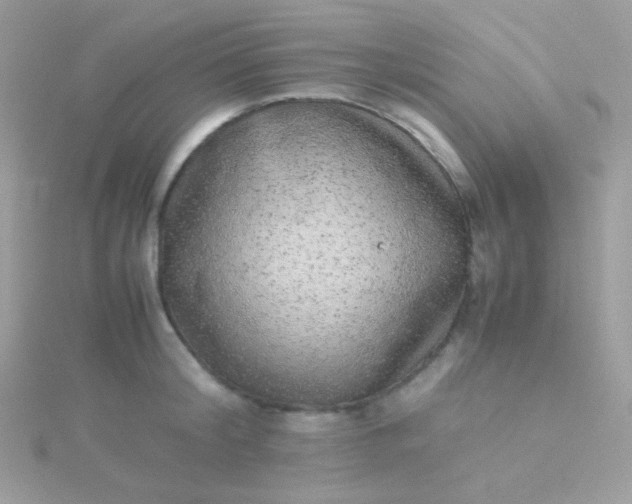 X0000115600804200911241554