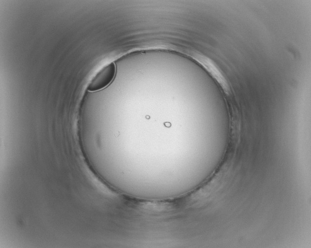 X0000115600805200911241554