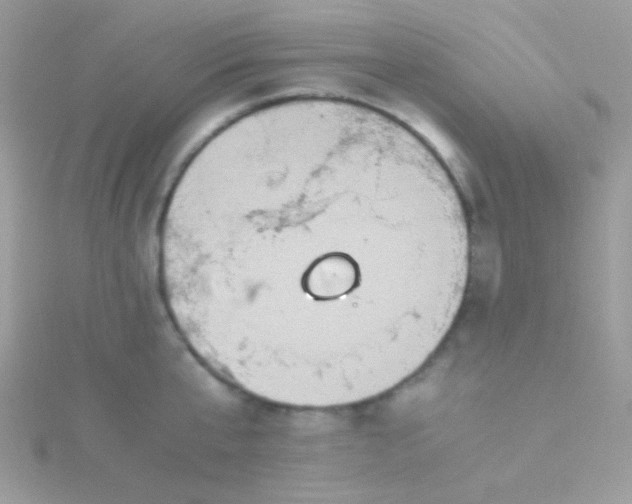 X0000115600807200911241554