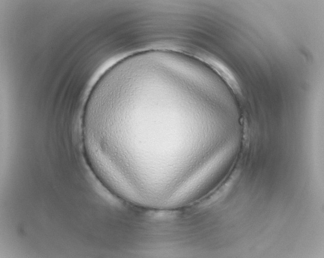 X0000115600808200911241554