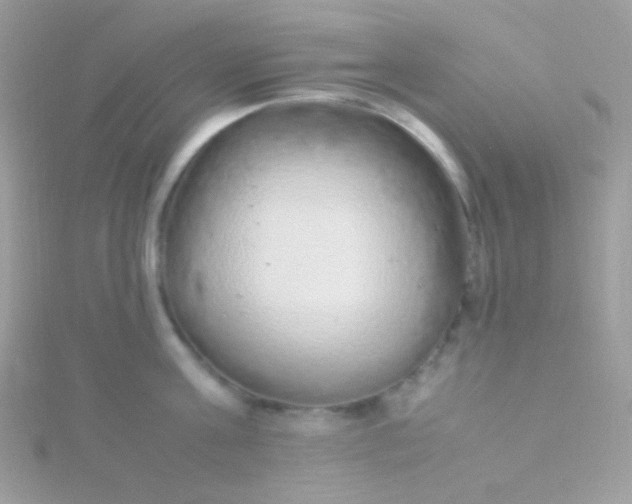 X0000115600811200911241554