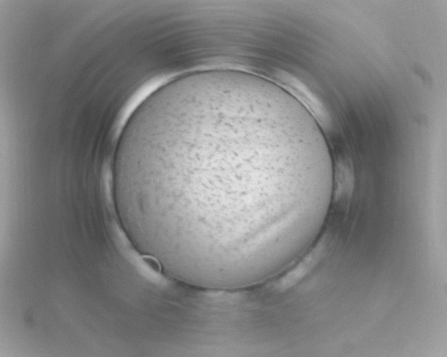 X0000115600812200911241554