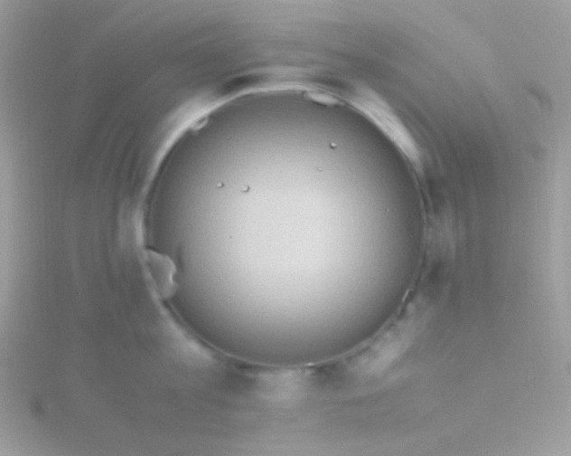 X0000115600813200911241554