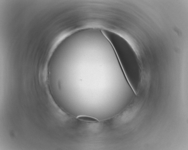 X0000115600815200911241554