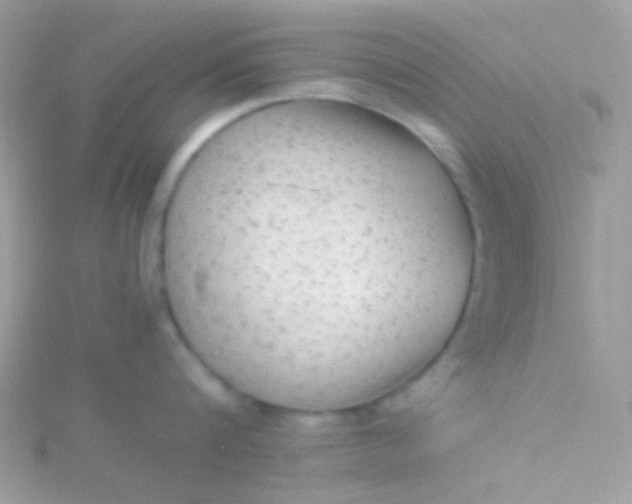 X0000115600816200911241553