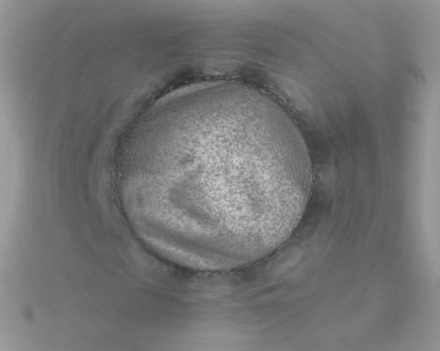 X0000115600817200911241553