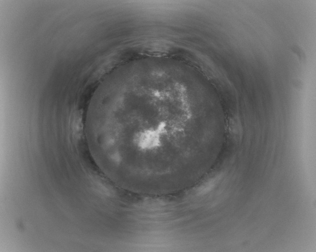 X0000115600818200911241553