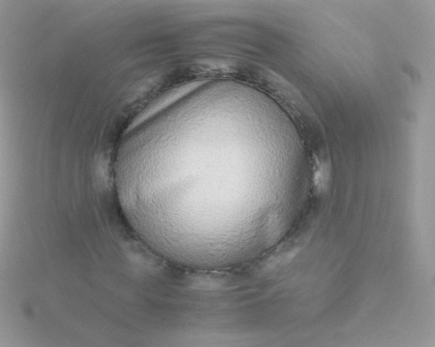 X0000115600819200911241553