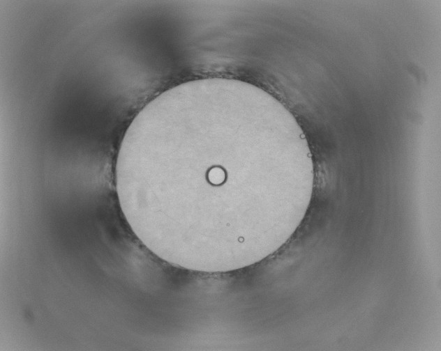 X0000115600820200911241553