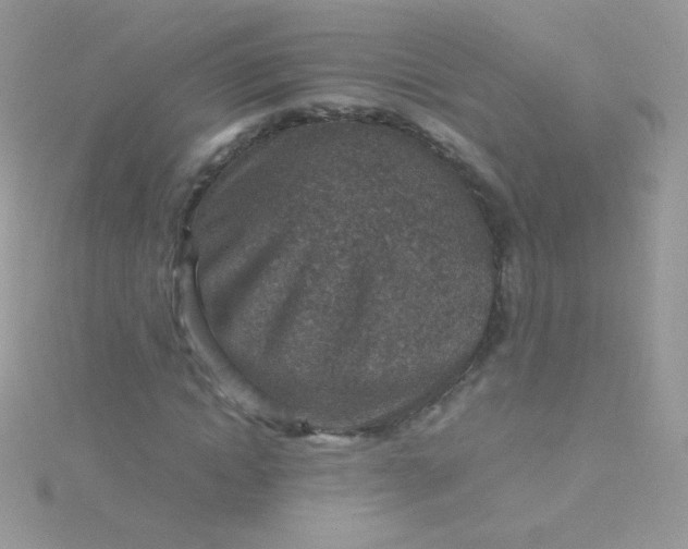 X0000115600822200911241553