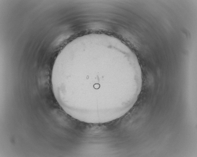 X0000115600824200911241553