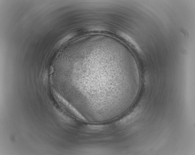 X0000115600825200911241553