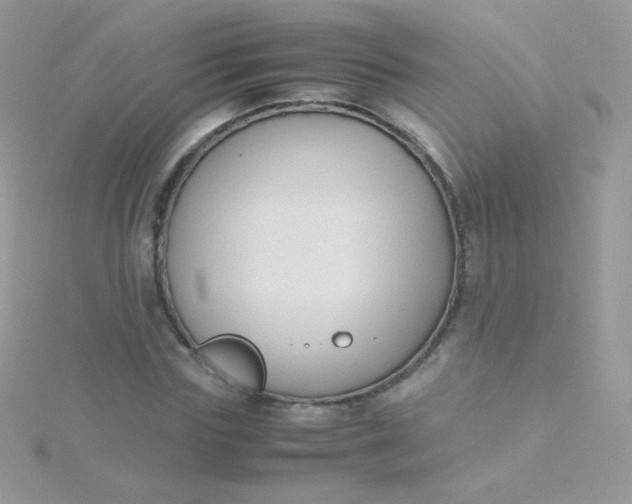 X0000115600827200911241553