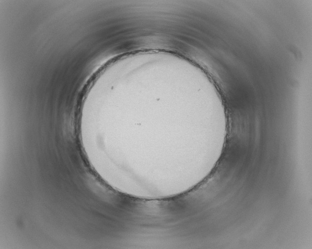 X0000115600828200911241553