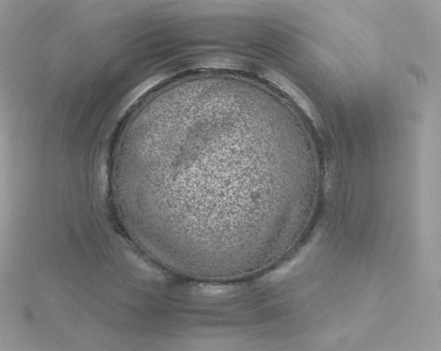 X0000115600829200911241553