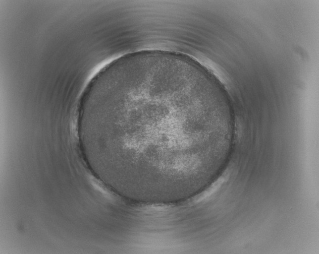 X0000115600830200911241553