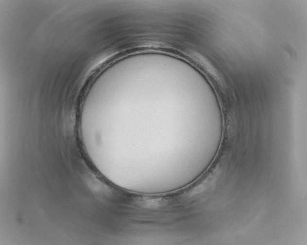 X0000115600831200911241553