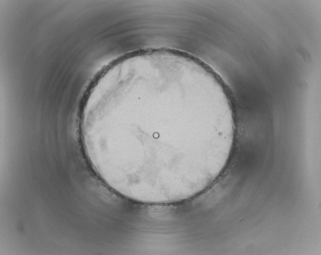 X0000115600832200911241553