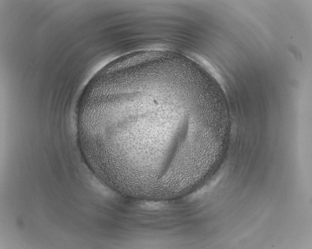 X0000115600835200911241553