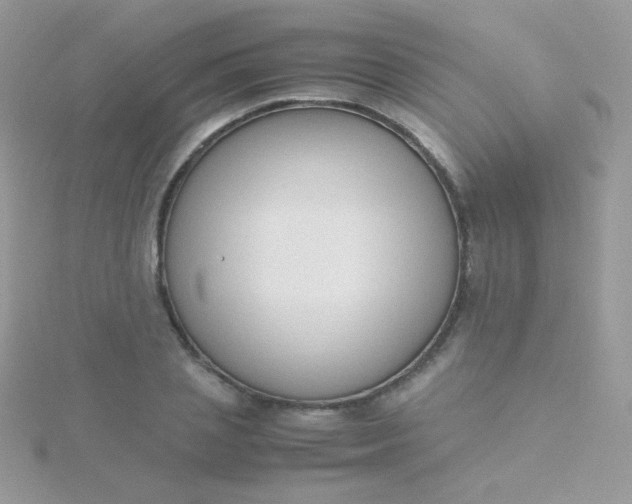 X0000115600837200911241553